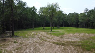 DJI_0685