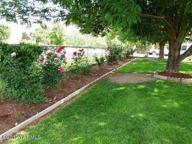 Front yard