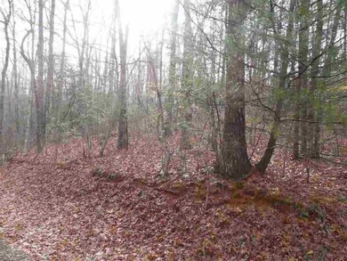 1e Watermelon Way unit Fiddlers Cove, Tract, Tamassee, SC 29686 - photo 6