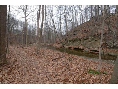 beautiful nature setting full of wildlife & stream