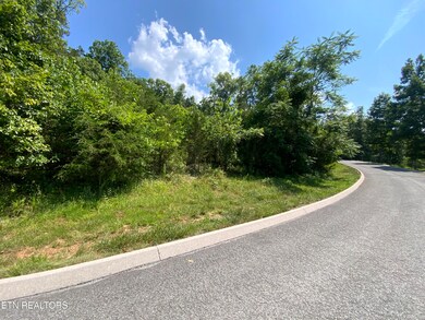 0 Eagles Ridge unit 1305145, New Tazewell, TN 37825 - photo 2