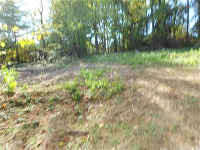 889 Brookside Camp Rd, Hendersonville, NC 28792 - photo 7