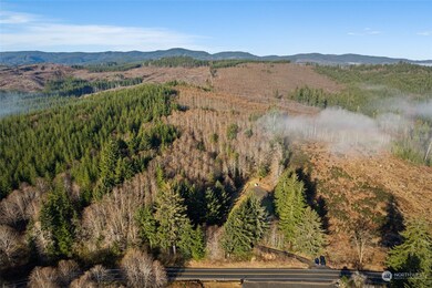 295 Butte Creek Rd, Raymond, WA 98577 - photo 3