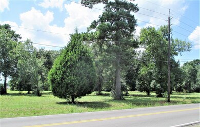 13010 E Hufsmith Rd, Tomball, TX 77375 - photo 3