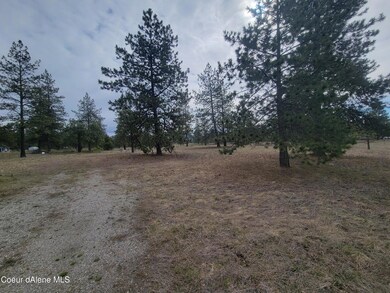 NNA N Williams Ln, Athol, ID 83801 - photo 6