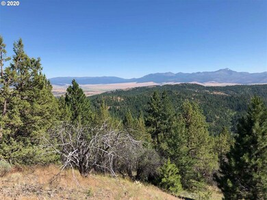 0 Bear Creek Elk unit 20026010, Prairie City, OR 97869 - photo 4