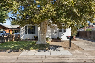 337 Concord St, Lodi, CA 95240 - photo 4