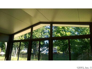 Backyard. View from Florida room