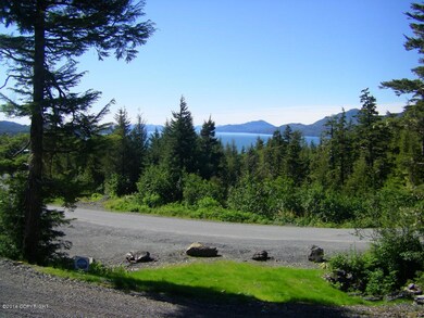 103 Cabin Ridge Rd, Cordova, AK 99574 - photo 2