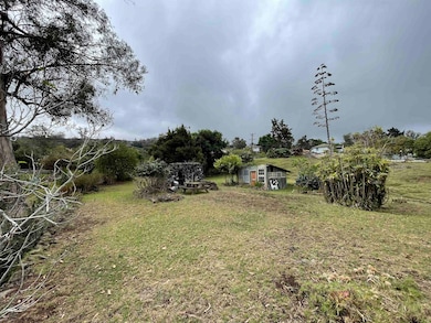 1575 Kamehameiki Rd unit 1, Kula, HI 96790 - photo 4