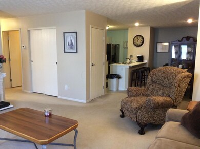 Living room/Dining room/Kithcen