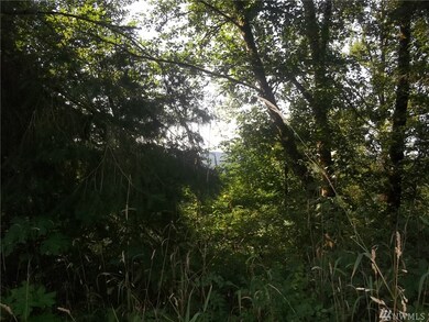 0 Spencer Rd unit 1180517, Salkum, WA 98564 - photo 3