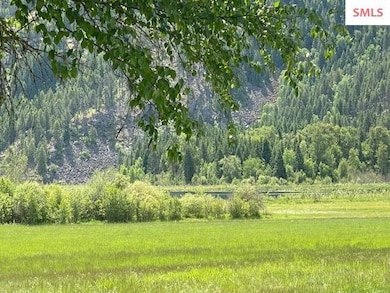 NNA (7800) 20 Ac Blue Lake Rd, Priest River, ID 83856 - photo 4