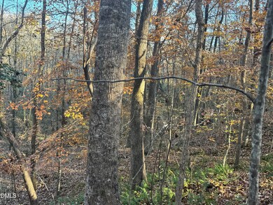 1715 Fire Department Rd, Clayton, NC 27527 - photo 6