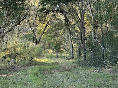 0 Benton Rd, Foley, AL 36535 - photo 7