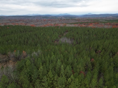 606 Spears Mountain Rd, Wingina, VA 24599 - photo 7