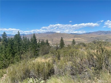 0 Wildcat Ridge Rd unit 1636795, Twisp, WA 98856 - photo 7