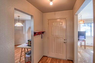 silverfield-104