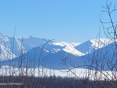 IMG-8135