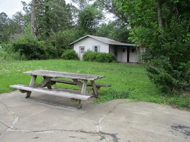 2176 Buttercup Ln, Pelham, GA 31779 - photo 7