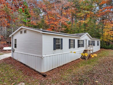 10712 Doublehead Gap Rd, Ellijay, GA 30536 - photo 5