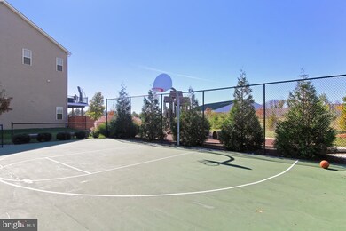 229 Upper Brook Terrace, Purcellville, VA 20132 - photo 4