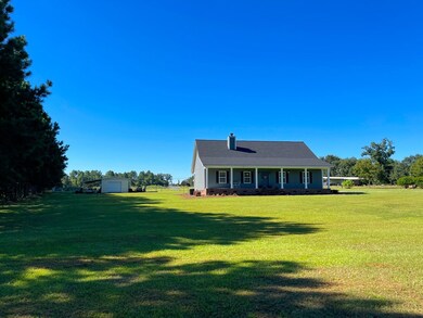 14183 Georgia 93, Baconton, GA 31716 - photo 4