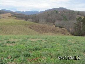 20 & 24 Pearl Mountain Ridge, Leicester, NC 28748 - photo 7