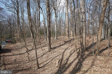 11001 Picasso Ln, Potomac, MD 20854 - photo 3