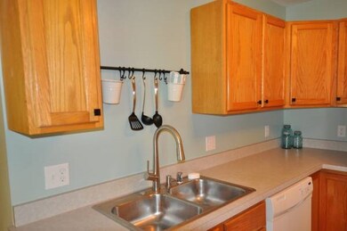 2907 Esser St unit 1, Cross Plains, WI 53528 - photo 5