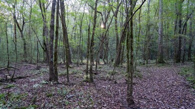 0 Sumatanga Rd, Steele, AL 35987 - photo 4