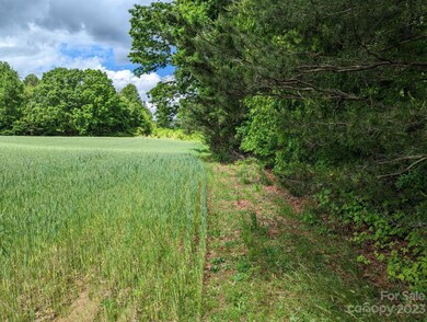 00 Crooked Ln, Statesville, NC 28625 - photo 7