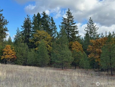 3 Garrison Rd, Goldendale, WA 98620 - photo 4