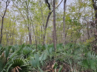 0000 A Lyric Rd, Conroe, TX 77302 - photo 6