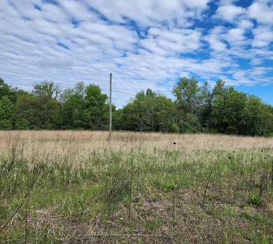 63362 Carver Rd, Vandalia, MI 49095 - photo 7