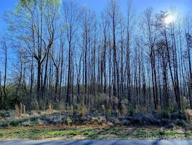 4255 Brandy Creek Ct, Clover, SC 29710 - photo 2