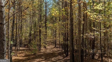 0 Jones Ferry Rd unit 10649572, Palmetto, GA 30268 - photo 4