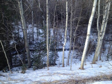 0 Elkland Dr unit 294275, Vanderbilt, MI 49795 - photo 6