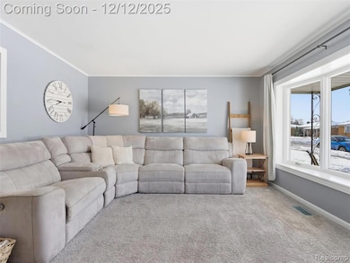 25300 Loretta Ave, Warren, MI 48091 - photo 2