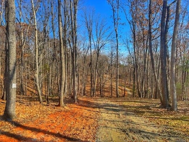 403 Ball Park Rd, Rocky Mount, VA 24151 - photo 2