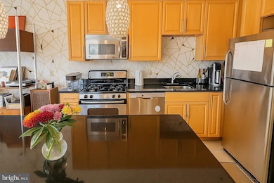 Silverton Condominiums, Silver Spring, MD 20910 - photo 5