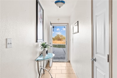 4109 County Road 40, Robstown, TX 78380 - photo 4