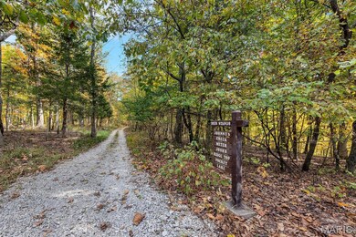 032 Callaway Ridge Dr, Boone Township, MO 63341 - photo 4