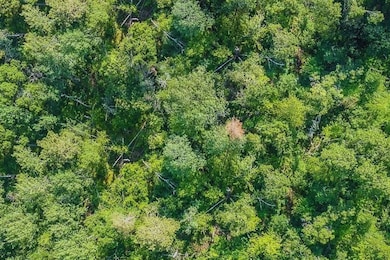 Corner Lucky Jog and Treasure Cove unit Garrison MN 56450, Garrison, MN 56450 - photo 5