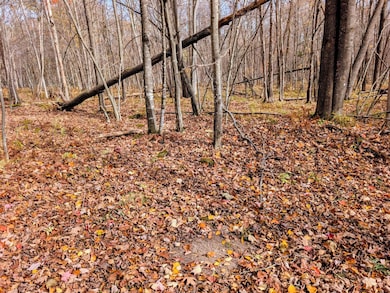 W N 20 School Rd, Glen Flora, WI 54526 - photo 5