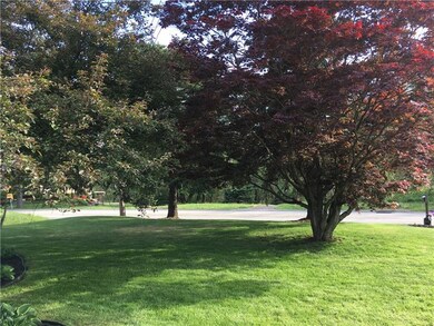 NATURE FILLED FRONT YARD