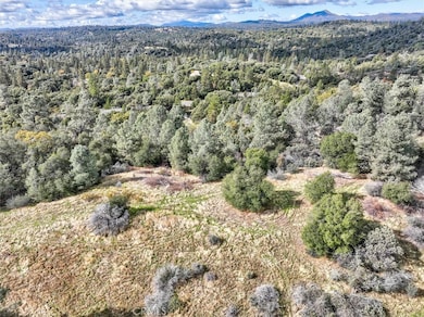 0 Watt Rd, Mariposa, CA 95338 - photo 5