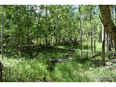 86 Arapaho Dr, Bellvue, CO 80512 - photo 6