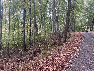 0 Macedonia Rd, Cookeville, TN 38506 - photo 5