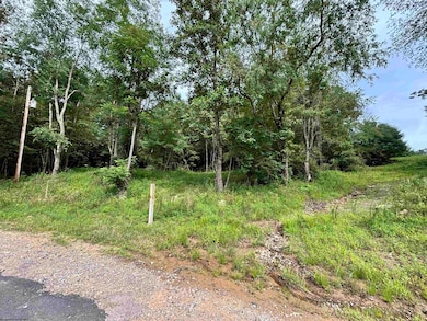 2843 Marquess Rd, Tunnelton, WV 26444 - photo 2